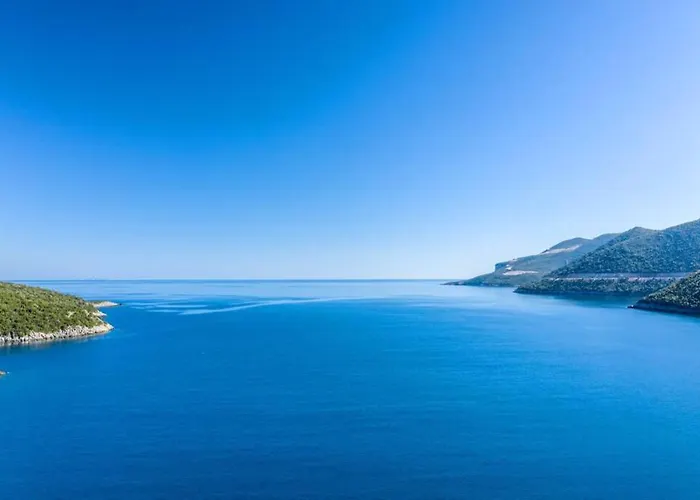 Myrtilo Traditional Stone House !!! Peleta